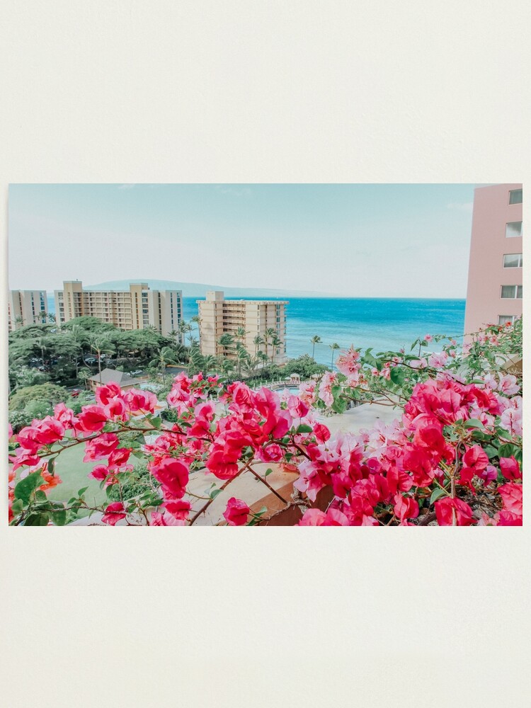 Hawaiian Bougainvillea Florals Ka Anapali Beach Club Maui Hawaii Photographic Print For