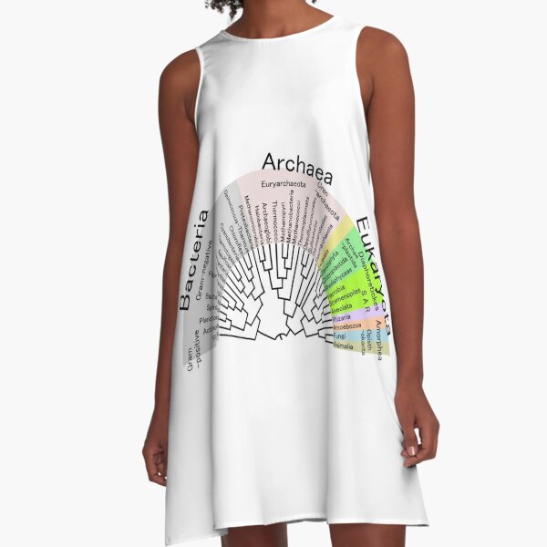 Phylogenetic Evolutionary Tree: Bacteria, Archaeva, Eukaryota A-Line Dress