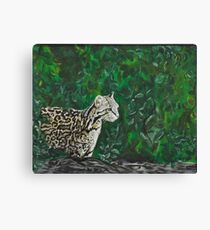 Ocelot Canvas Print