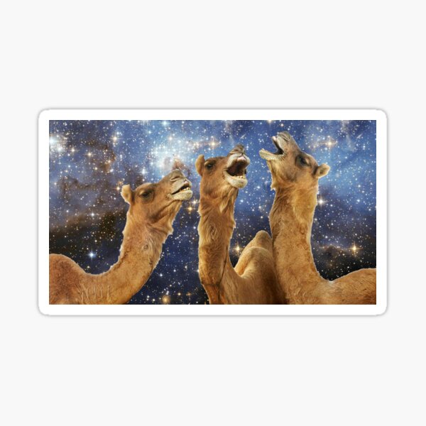 Item preview, Space Camels designed and sold by Eliotmad.