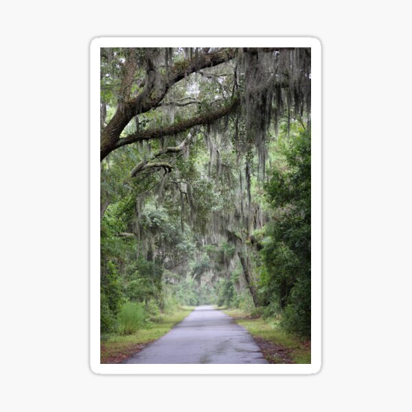 Item preview, Mossy Lane designed and sold by Autumn Seas Photography.