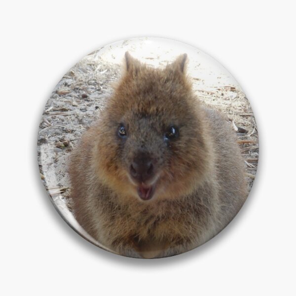 Item preview, SMILE - Quokka Rottnest Island designed and sold by Lunaqwa.