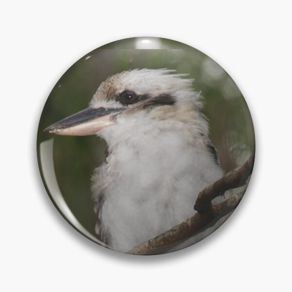 Item preview, Jacky.  Australian Kookaburras . designed and sold by ginnymac.