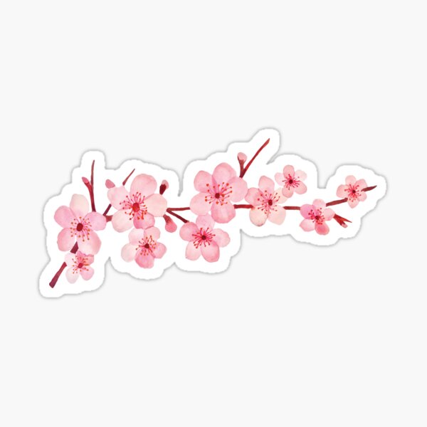 Pretty Cherries & Flowers Stickers