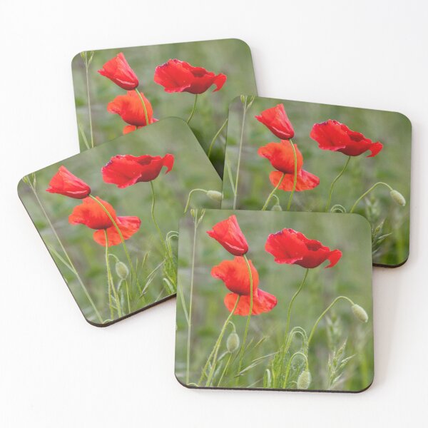 Item preview, Red corn poppy in bloom in spring designed and sold by Your Happy Life.