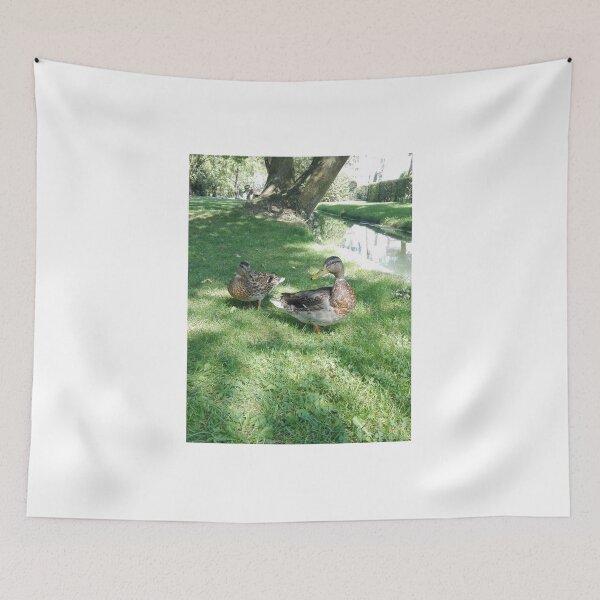 Item preview, Ducks designed and sold by seanlar94.