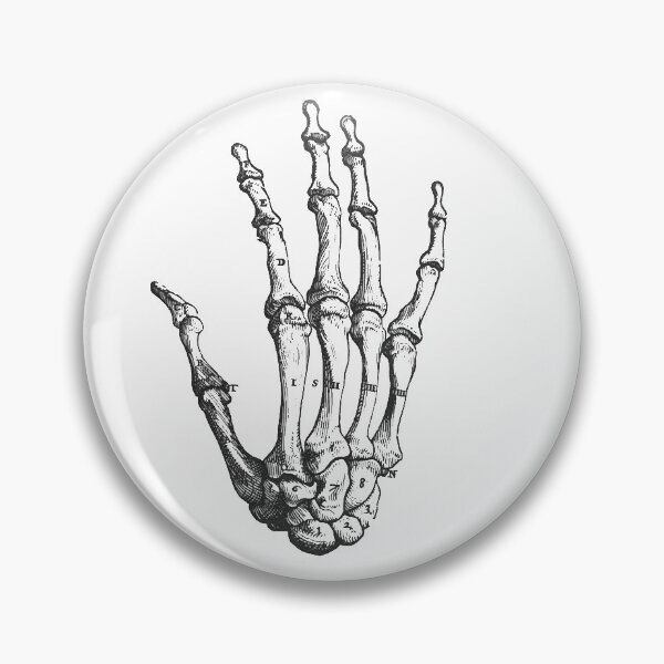 Item preview, Skeleton Hand anatomical drawing illustration designed and sold by BoldDuck.