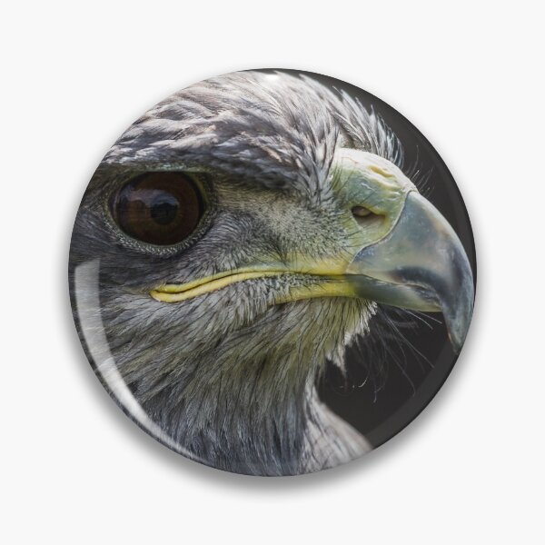 Item preview, Grey Eagle Buzzard designed and sold by wellsie82.