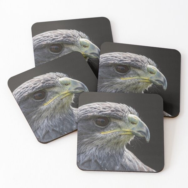Item preview, Grey Eagle Buzzard designed and sold by wellsie82.