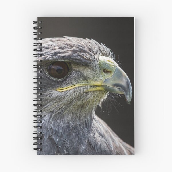 Item preview, Grey Eagle Buzzard designed and sold by wellsie82.