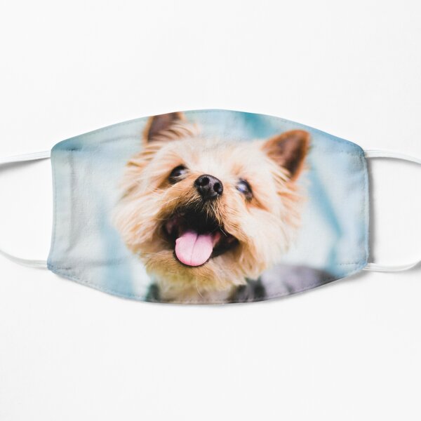 happy dog Mask