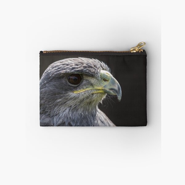 Item preview, Grey Eagle Buzzard designed and sold by wellsie82.