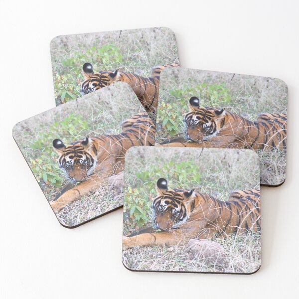 Item preview, Young Bengal Tiger  designed and sold by Carole-Anne.