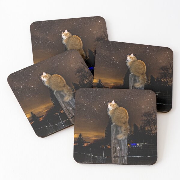 Item preview, Cat Under The Stars designed and sold by PurpleMonkeyDW.
