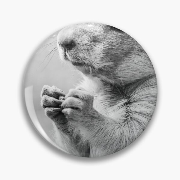 Item preview, Black tailed prairie dog feeding designed and sold by wellsie82.