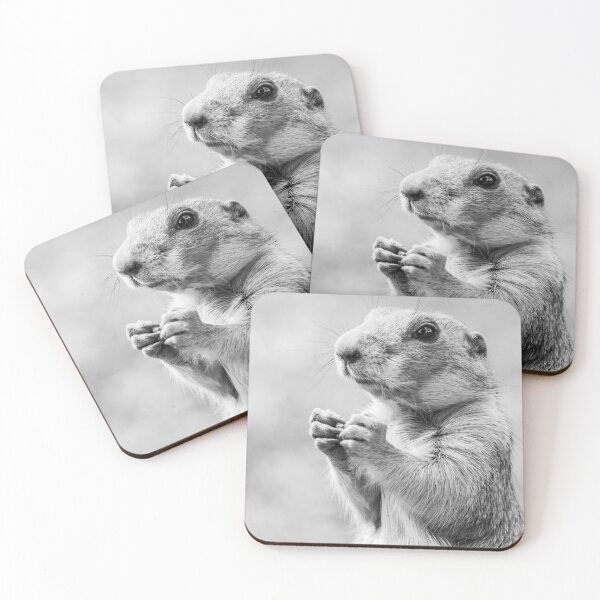 Item preview, Black tailed prairie dog feeding designed and sold by wellsie82.