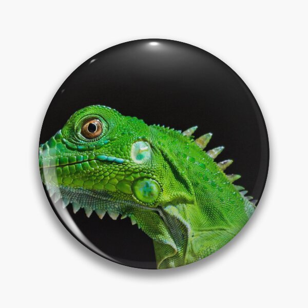 Item preview, Green Iguana against a dark background designed and sold by wellsie82.