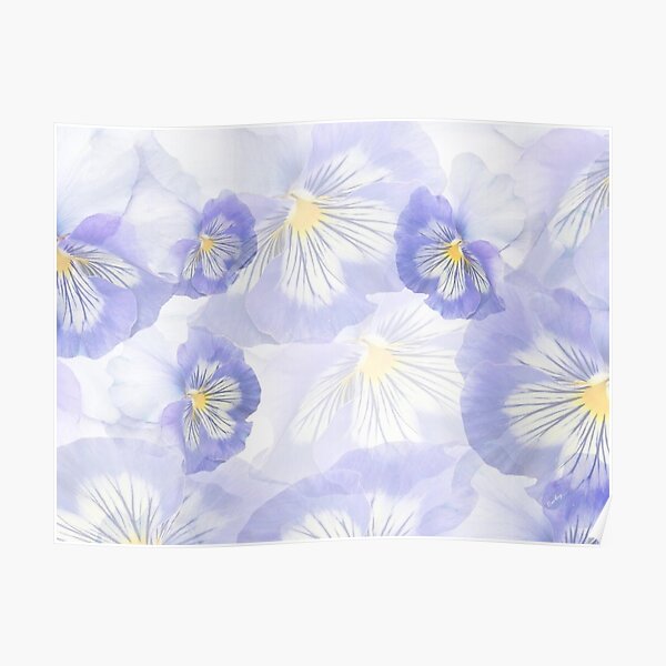 Pansy Mirage Poster