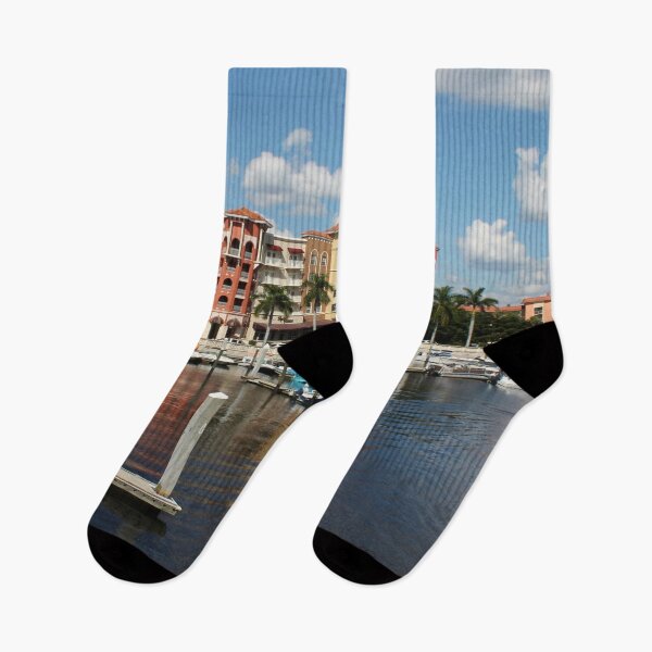 Item preview, Naples Florida Waterfront designed and sold by cuprum.