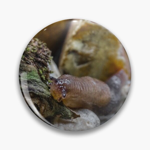 Item preview, Brown field slug designed and sold by KcsArt87.