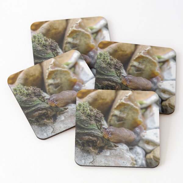 Item preview, Brown field slug designed and sold by KcsArt87.