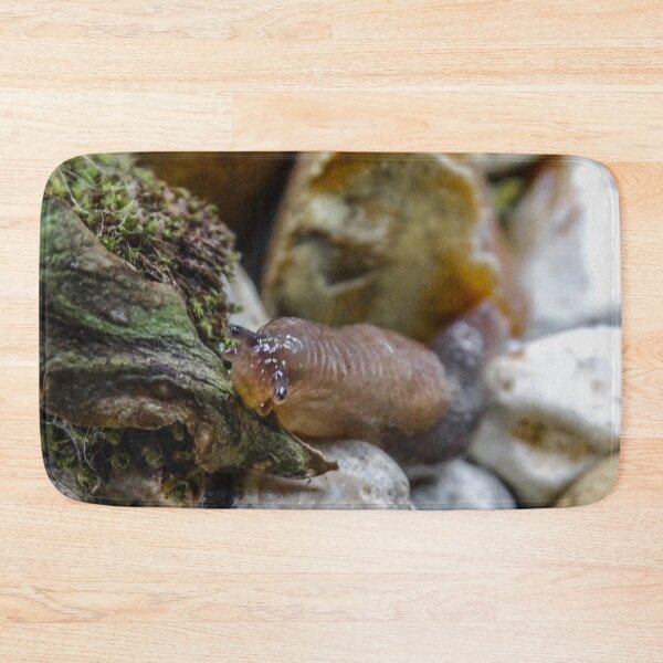 Item preview, Brown field slug designed and sold by KcsArt87.