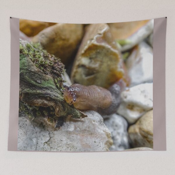 Item preview, Brown field slug designed and sold by KcsArt87.