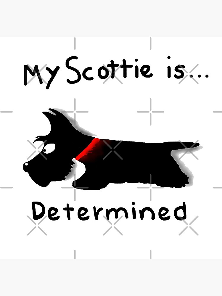 "Scottie Dog 'My Scottie is...Determined'" Throw Pillow for Sale by
