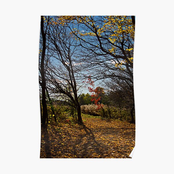 Eramosa Karst Hamilton Poster