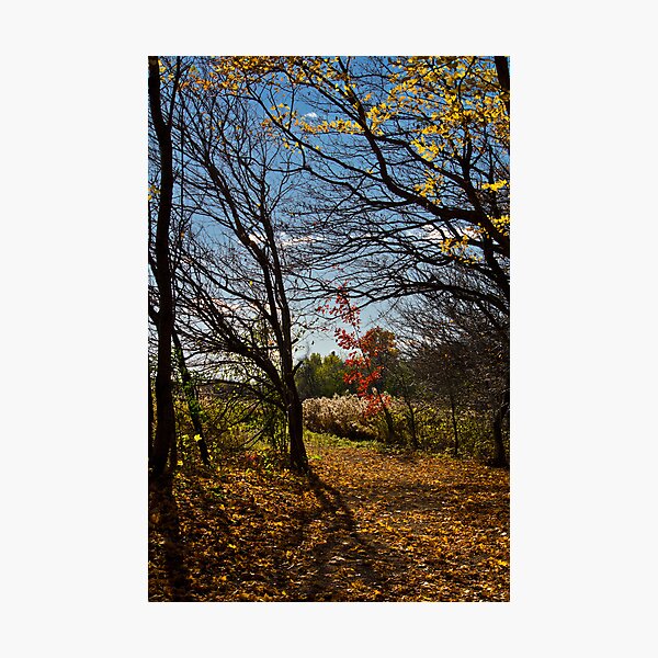 Eramosa Karst Hamilton Photographic Print