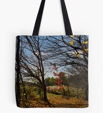 Eramosa Karst Hamilton Tote Bag