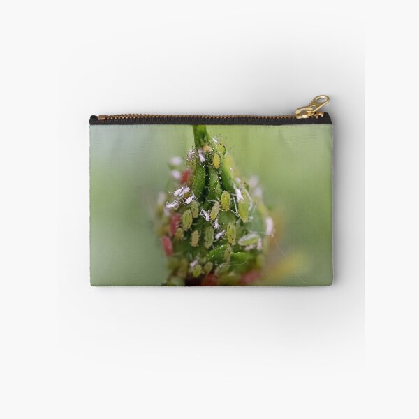 Item preview, Маcro Green rose aphid (Macrosiphum rosae, Aphididae) on rose bud - Funny Insects Entomology Gift 2 designed and sold by r-silver.