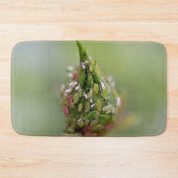 Item preview, Маcro Green rose aphid (Macrosiphum rosae, Aphididae) on rose bud - Funny Insects Entomology Gift 2 designed and sold by r-silver.