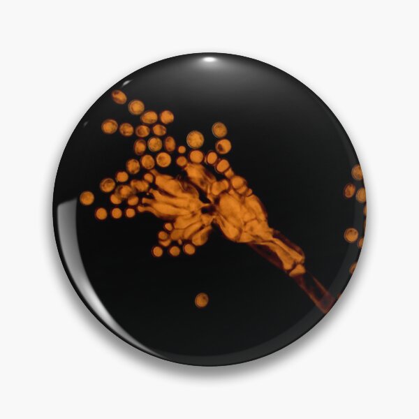 Pin Button