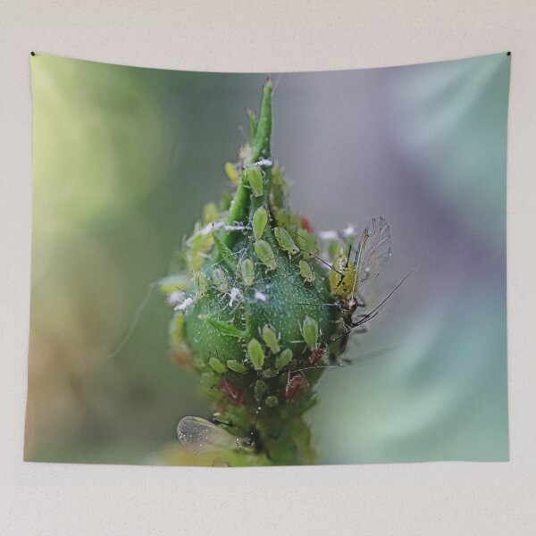 Item preview, Маcro Green Rose Aphid on Rose Bud - Funny Insects Entomology Gift  designed and sold by r-silver.
