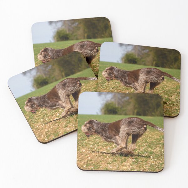 Item preview, Fetching a ball Spinone designed and sold by FOLK ART FUSION by heidiannemorris.