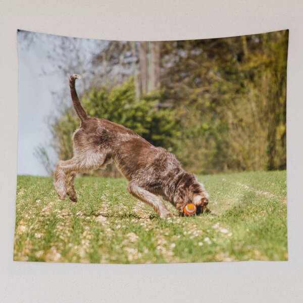Item preview, Landing on the prize Spinone designed and sold by FOLK ART FUSION by heidiannemorris.