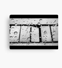 drops Canvas Print