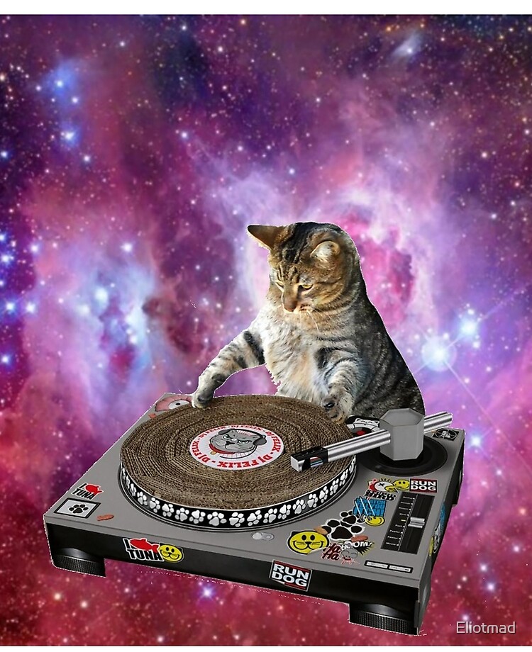 DJ Space Cat iPad Case & Skin for Sale by Eliotmad
