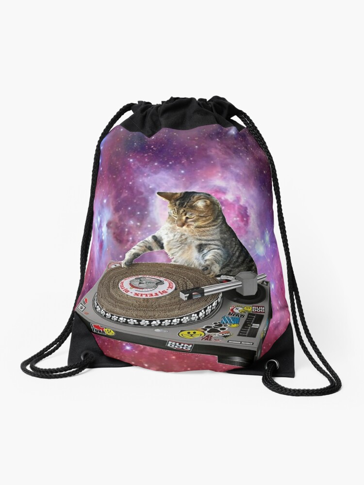 The new student at the School of the Galactic Cat 