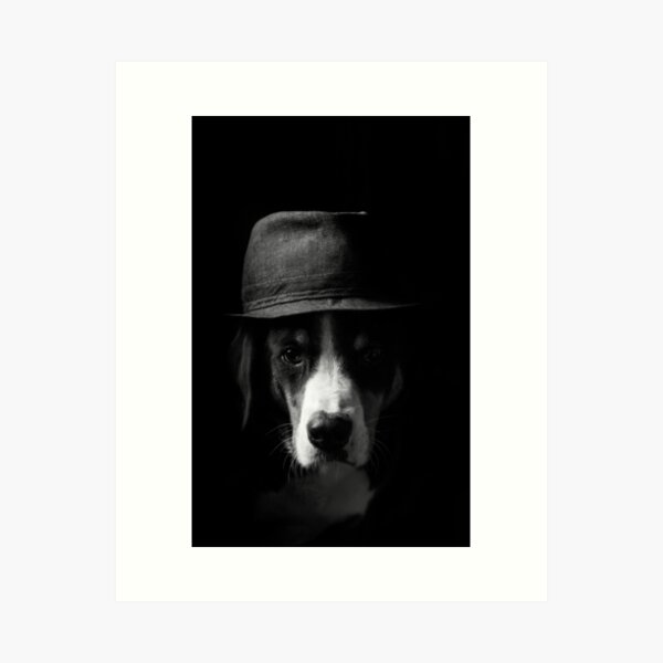Paul Art Print