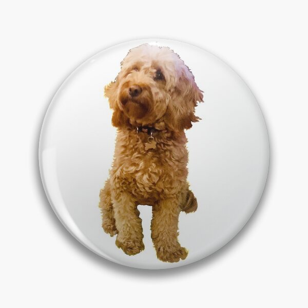 Item preview, Cavapoo Cavoodle puppy dog - cute cavalier king charles spaniel  designed and sold by Artonmytee.