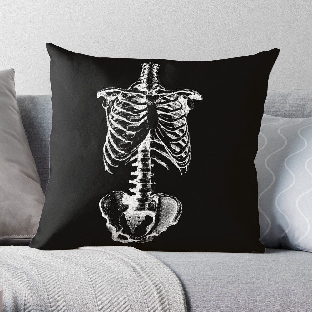 Skeleton Ribs and Hips