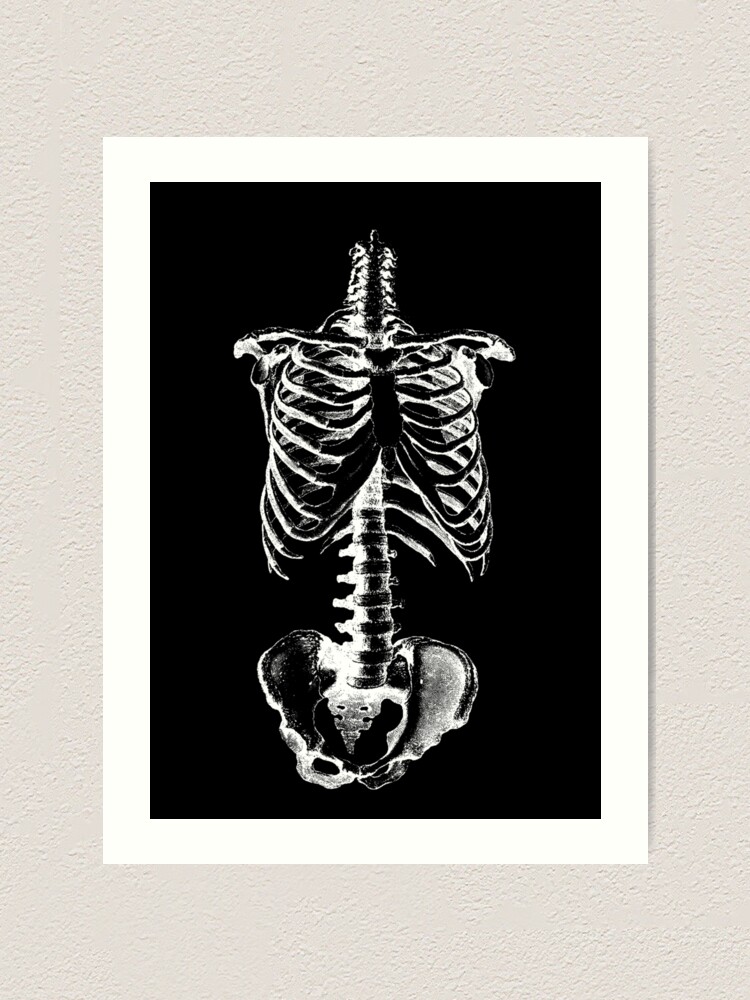 Bones of the pelvic girdle. skeletal Black Framed Wall Art Print, Home Decor