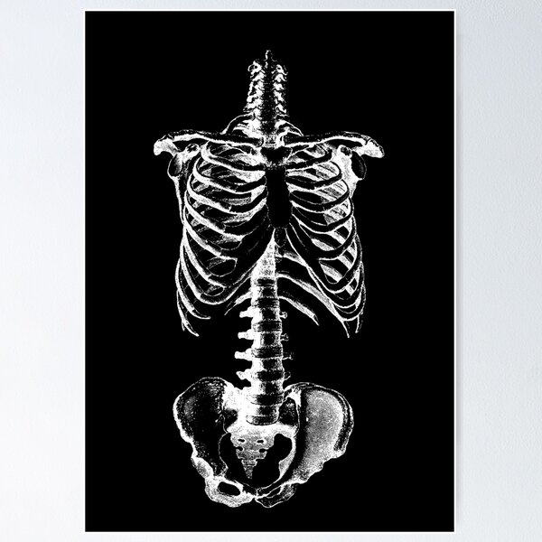 Black Iron Ribcage Skeleton