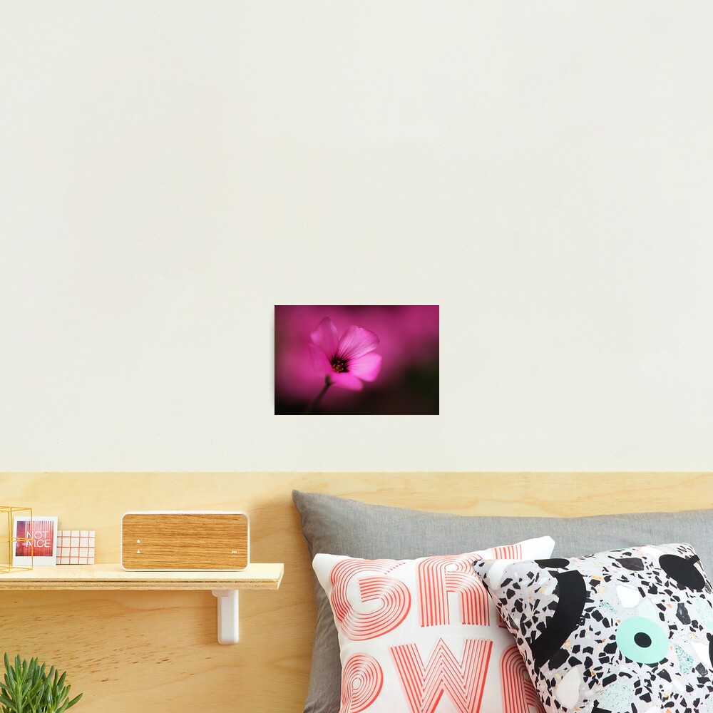 Item preview, Photographic Print designed and sold by Donna-R.