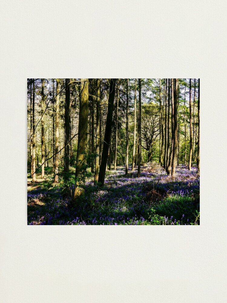 Alternate view of Natures Canvas Photographic Print