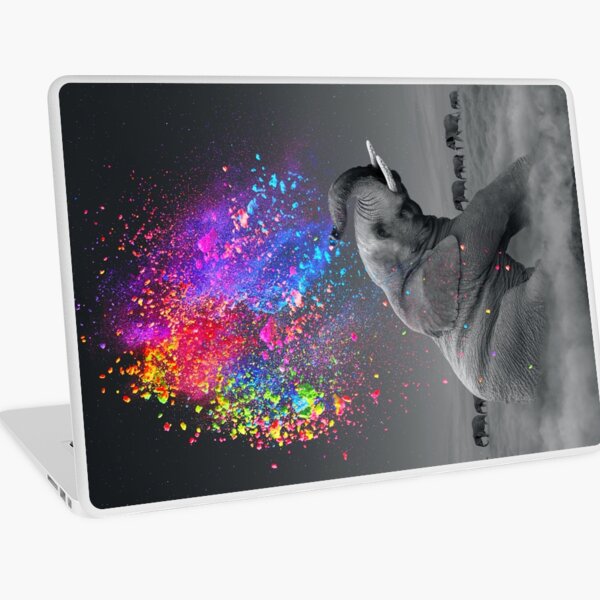 Colores verdaderos dentro Vinilo para portátil