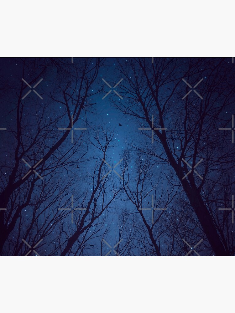 I Have Loved the Stars too Fondly by soaringanchor