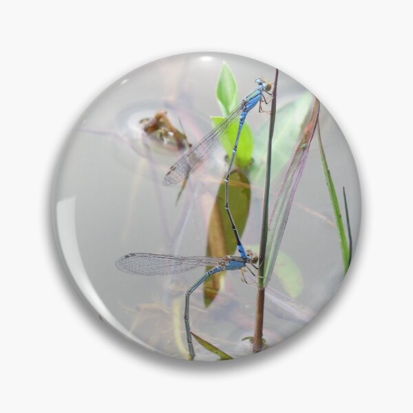 Artikelvorschau, Sprite Damselflies mit orangefarbenem Gesicht überlagern sich entworfen und verkauft von Linda Walsh.